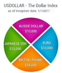 This is a pie chart showing the USDOLLAR Basket